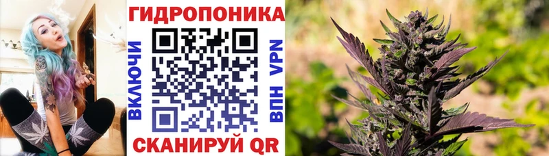 Купить закладку А ПВП  МЕФ  АМФЕТАМИН  Канабис  КОКАИН  ГАШ  Новоалтайск